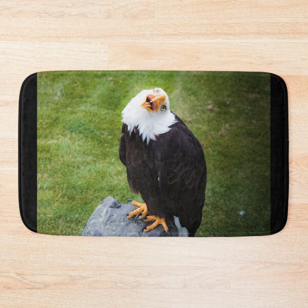 Item preview, Crazy bald eagle with a funny and goofy expression designed and sold by sword-snobby.