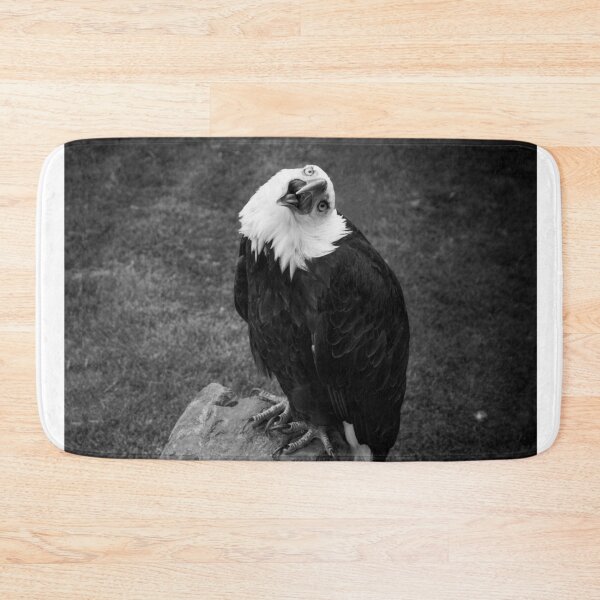 Item preview, Crazy bald eagle with a funny and goofy expression in black and white designed and sold by sword-snobby.