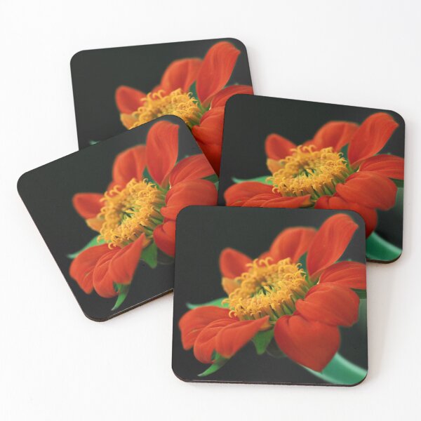 Item preview, Orange Beauty designed and sold by StampCity.