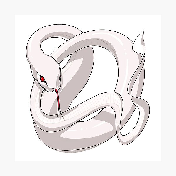 White Snake  AnimePlanet