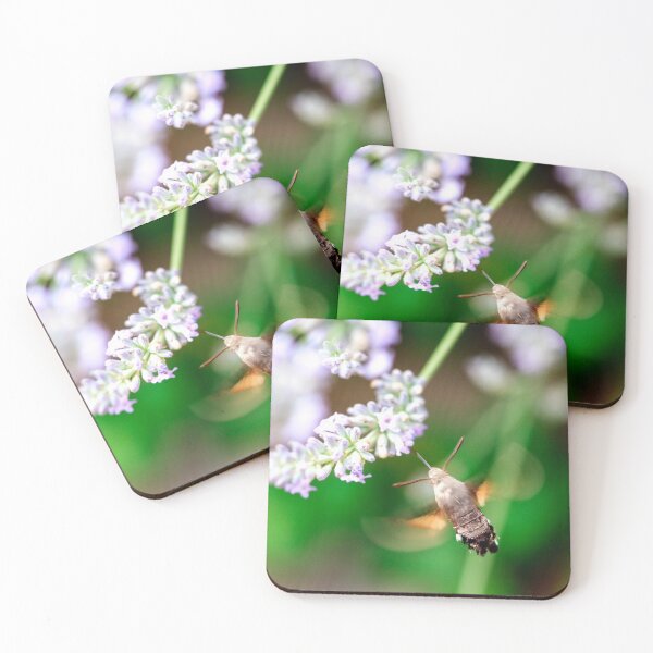 Item preview, Hummingbird moth designed and sold by Photopat.