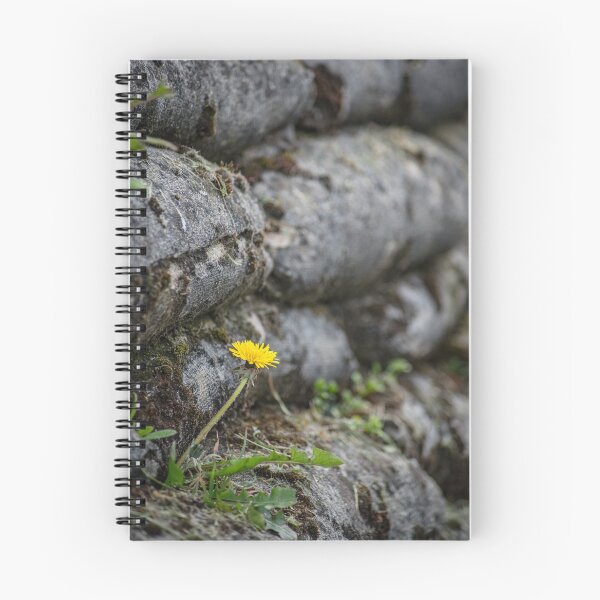 Item preview, Growing designed and sold by Lise Rodembusch.