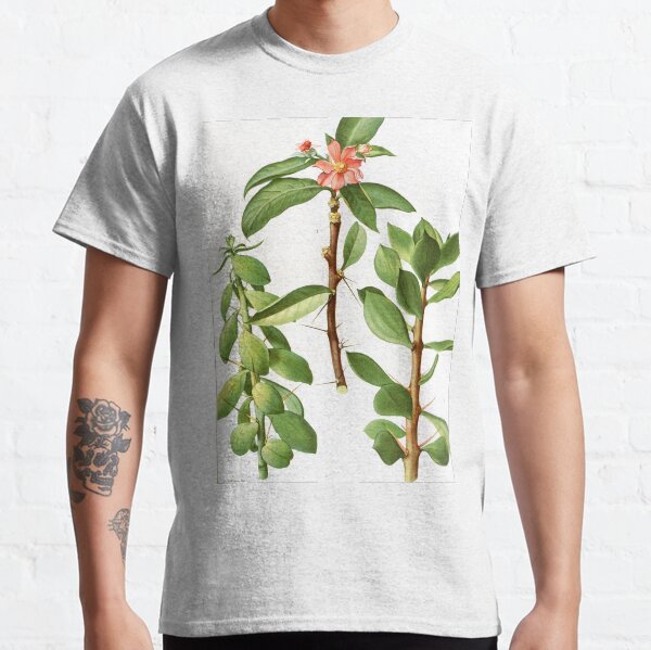 Vintage Pereskia Botanical Print from The Cactaceae Classic T-Shirt