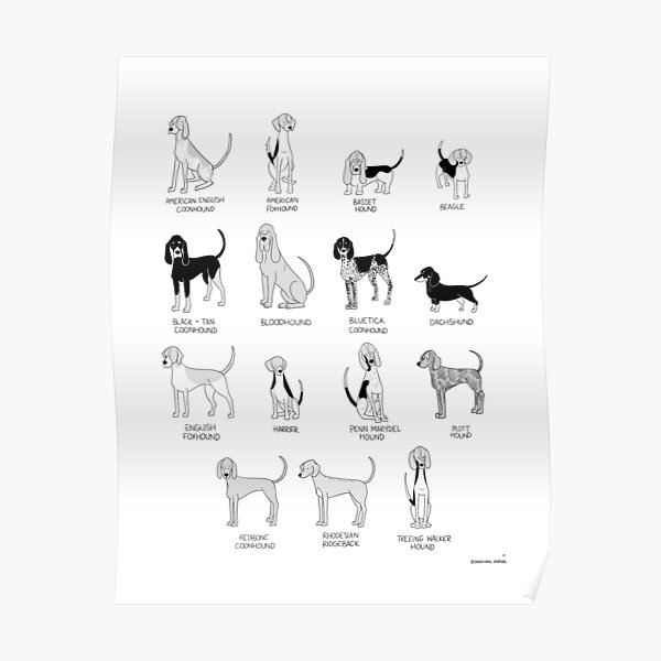 watercolor art digital download printable dog poster American coonhound print nursery decor dog wall art dog painting