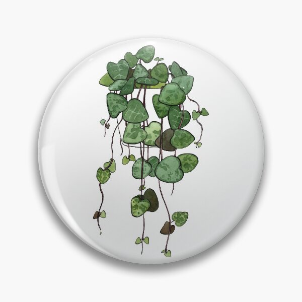 Item preview, String of Hearts Plant designed and sold by Markami.