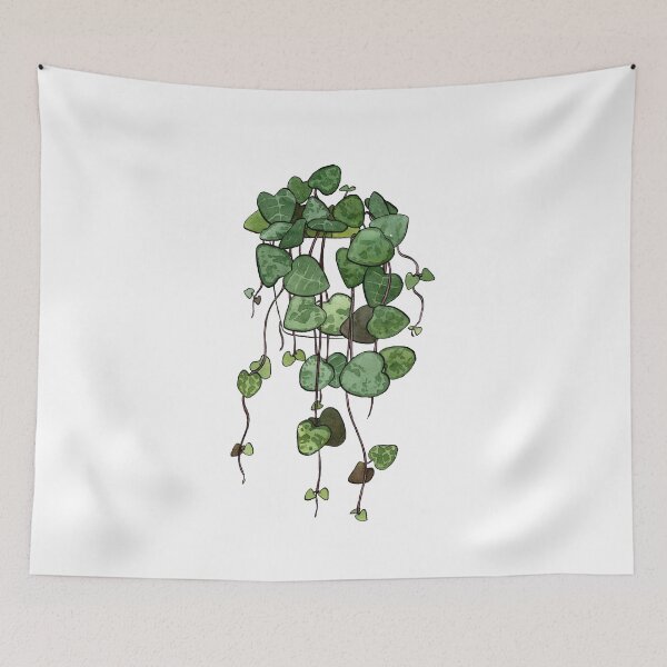 Item preview, String of Hearts Plant designed and sold by Markami.