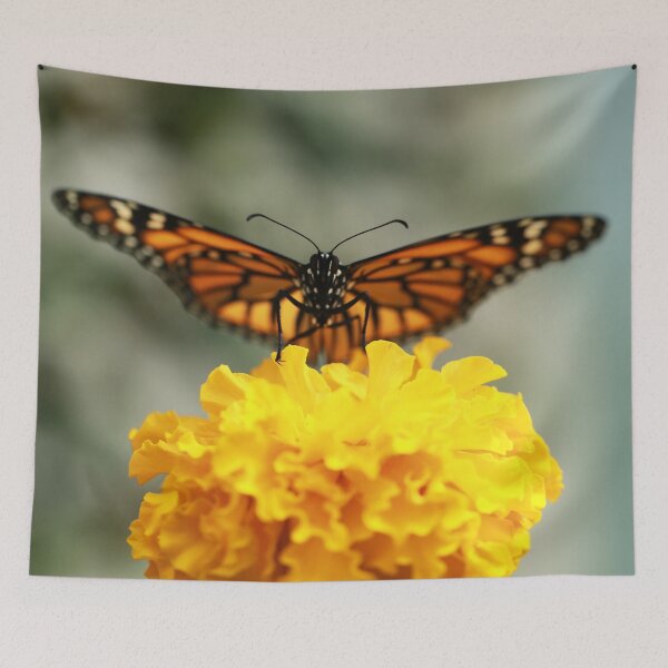 Item preview, Monarch on Marigold designed and sold by StampCity.