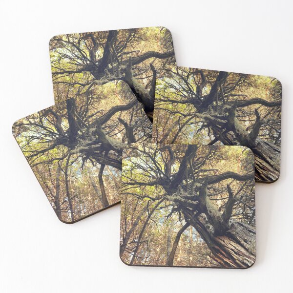 Item preview, Autumn Cedar designed and sold by Mass Monumentalist.