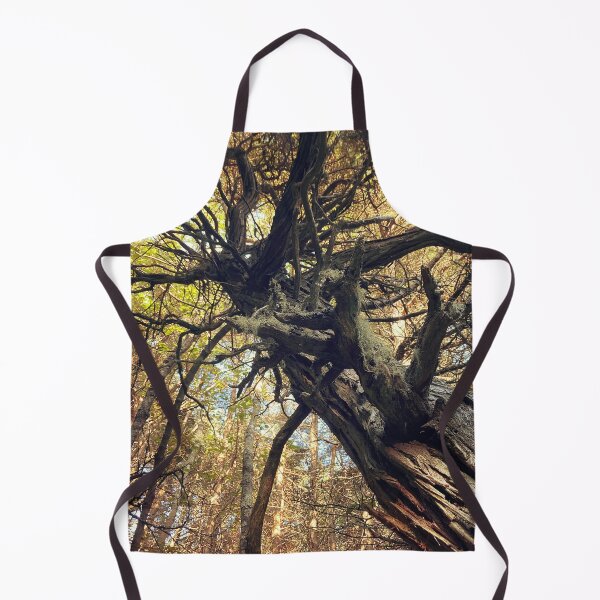 Item preview, Autumn Cedar designed and sold by Mass Monumentalist.