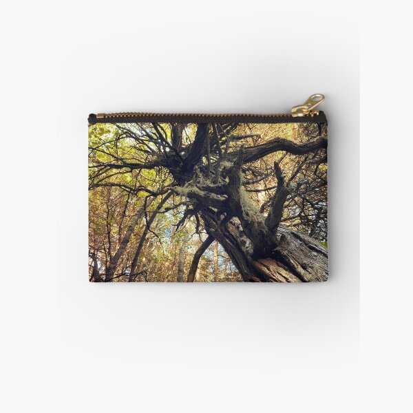 Item preview, Autumn Cedar designed and sold by Mass Monumentalist.