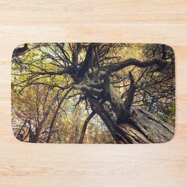 Item preview, Autumn Cedar designed and sold by Mass Monumentalist.