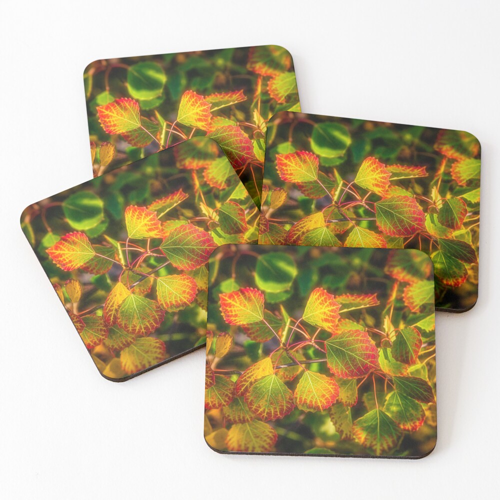 Item preview, Coasters (Set of 4) designed and sold by wekegene.