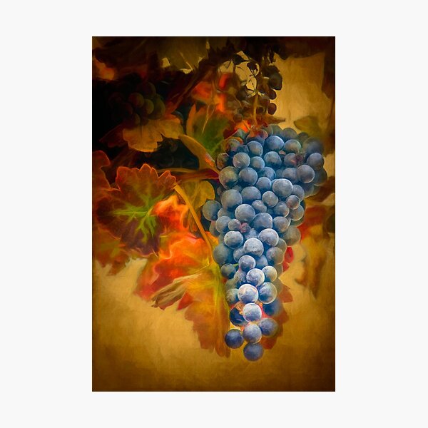 Item preview, Late Harvest Zinfandel designed and sold by Ann J. Sagel.
