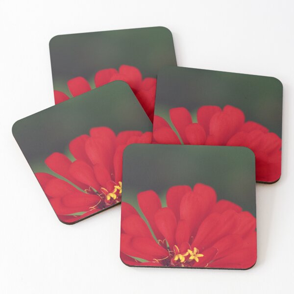 Item preview, Red Zinnia designed and sold by StampCity.