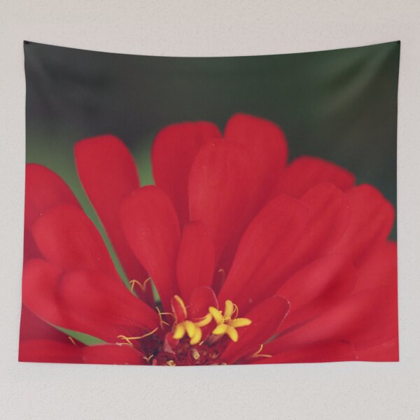 Item preview, Red Zinnia designed and sold by StampCity.