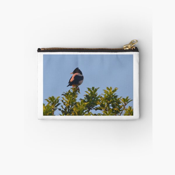 Item preview, Rose-coloured Starling in West Yorkshire designed and sold by MinkMaguari.
