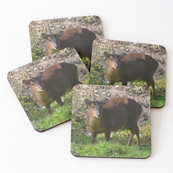 Item preview, Reeves' Muntjac in Norfolk designed and sold by MinkMaguari.
