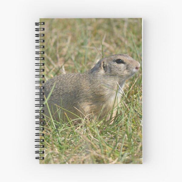 Item preview, European Souslik (Ground Squirrel) at Gerasdorf, Vienna designed and sold by MinkMaguari.