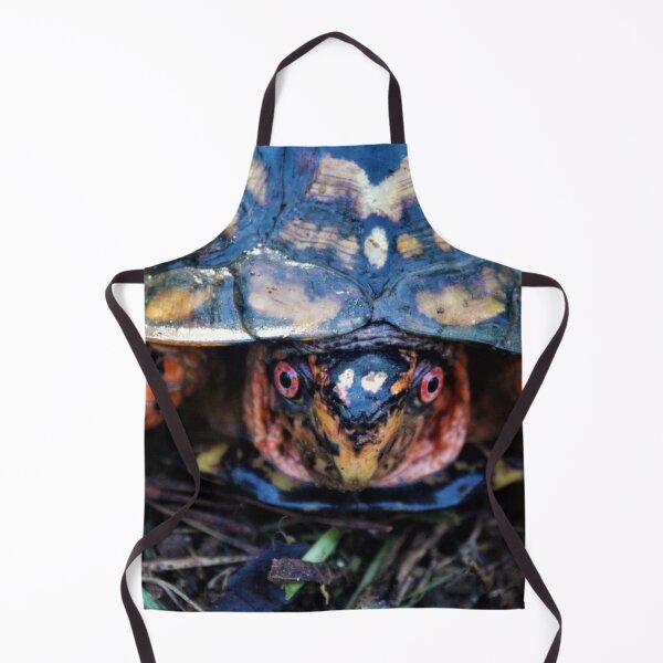 Item preview, Box Turtle designed and sold by chaze-cha.