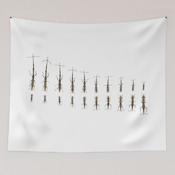 Item preview, Brentis Weevil Extreme Allometry designed and sold by petermarting.