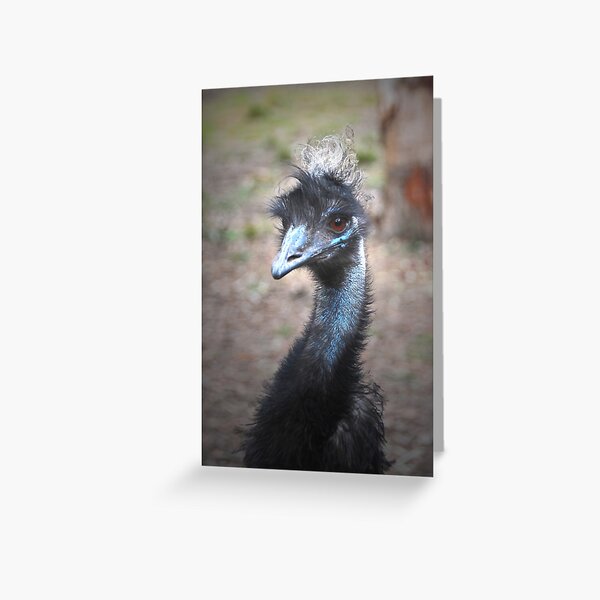 Punk blue emu bird Greeting Card for Sale by Julie Matthews