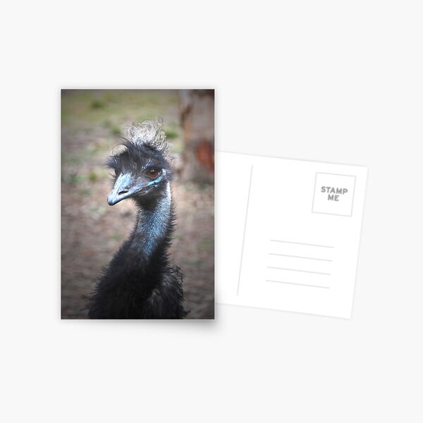 Punk blue emu bird Postcard for Sale by Julie Matthews