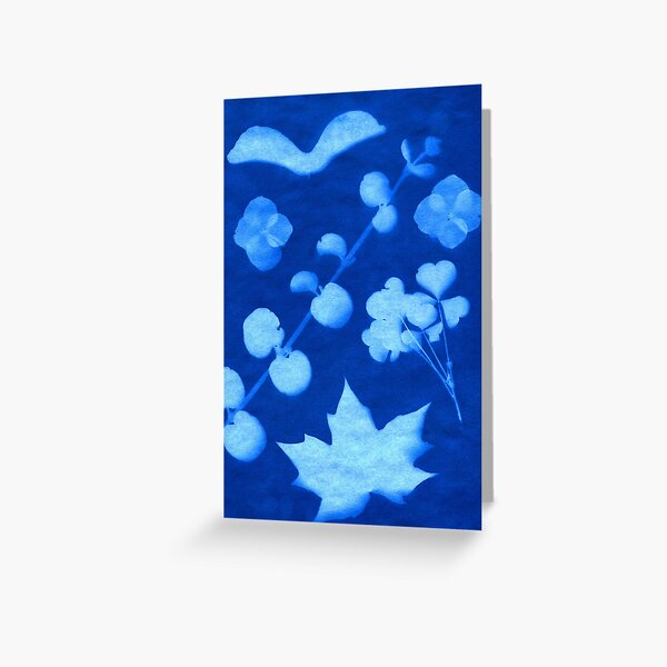 Assorted Nature Cyanotype Greeting Card