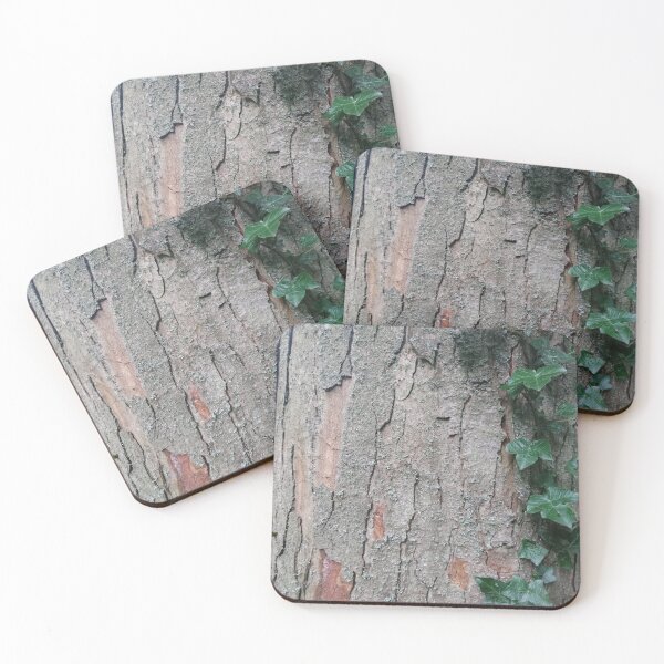 Item preview, Tree bark with ivy, York designed and sold by paulboizot.