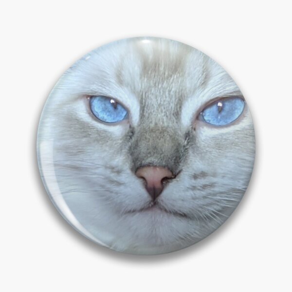 Item preview, Ragdoll kitten designed and sold by Fluffycat2020.