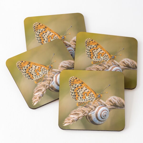 Butterfly (spotted fritillary) hanging out with a snail Coasters (Set of 4)