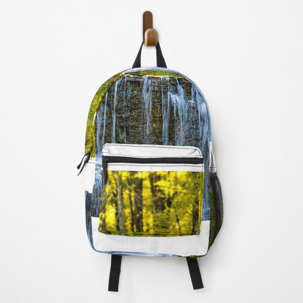 Item preview, Hidden Falls Nerstrand Big Woods State Park designed and sold by passion4photos.