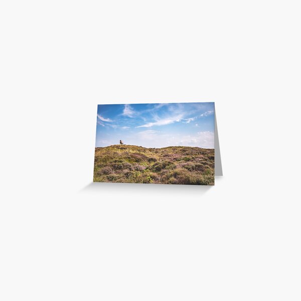 Wild horse on a hill Greeting Card
