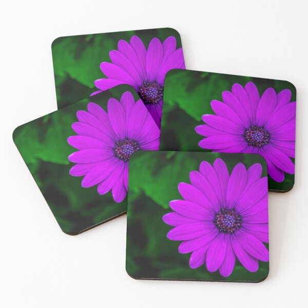 Item preview, Purple Flower at White Hills Botanical Garden designed and sold by Steven Jodoin.