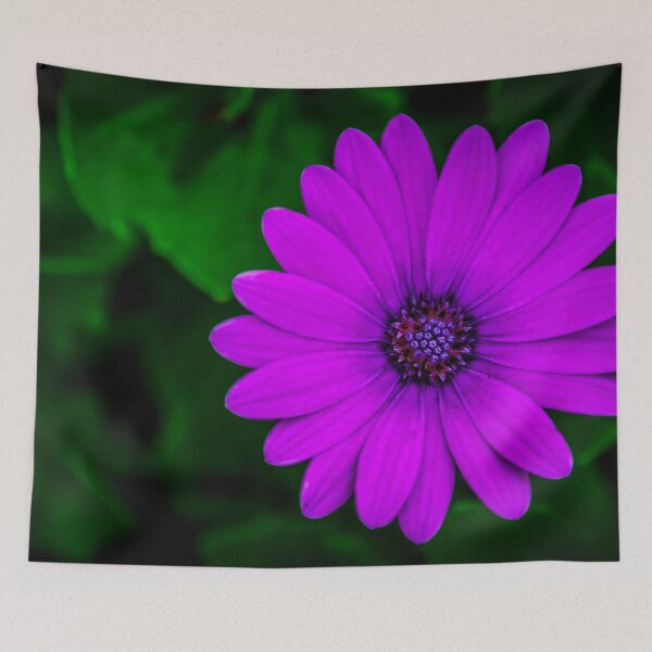 Item preview, Purple Flower at White Hills Botanical Garden designed and sold by Steven Jodoin.