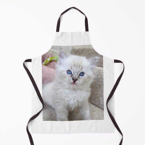 Item preview, Ragdoll kitten designed and sold by Fluffycat2020.