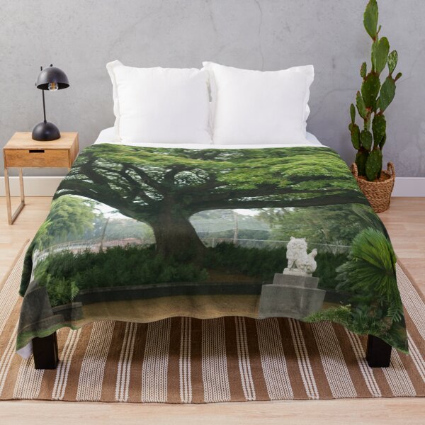 Item preview, Monkeypod Tree at Queen Lili'oukalani Park in Hilo, Hawaii designed and sold by TheMurphyGirl.