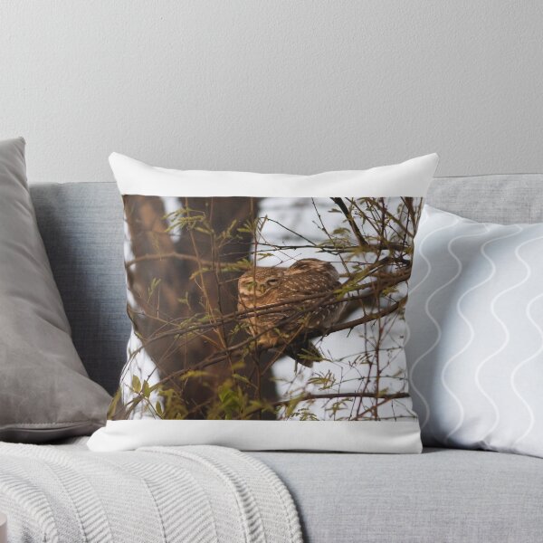 Item preview, Cute Owls sleeping Tight designed and sold by NickAvin.