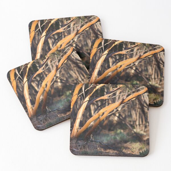 Item preview, Mallee Trees at Sunset designed and sold by DavePinsonPhoto.