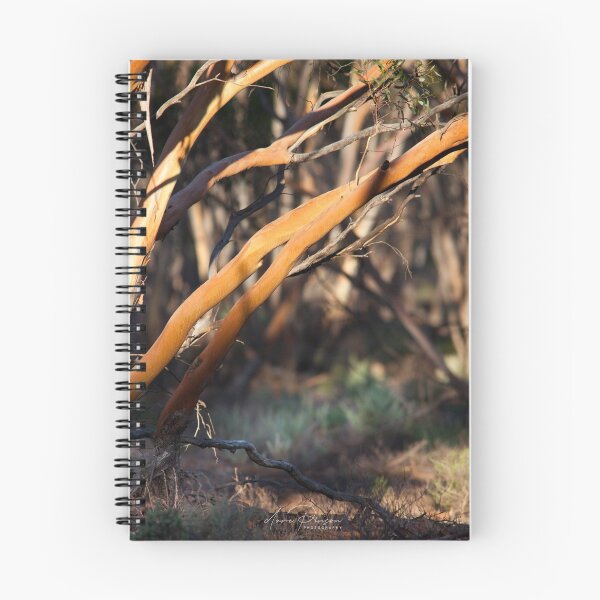 Item preview, Mallee Trees at Sunset designed and sold by DavePinsonPhoto.
