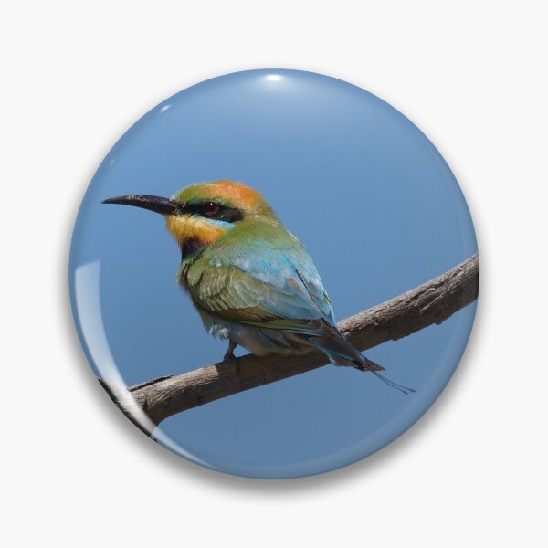 Item preview, Rainbow Bee eater  designed and sold by MargsNaturePix.