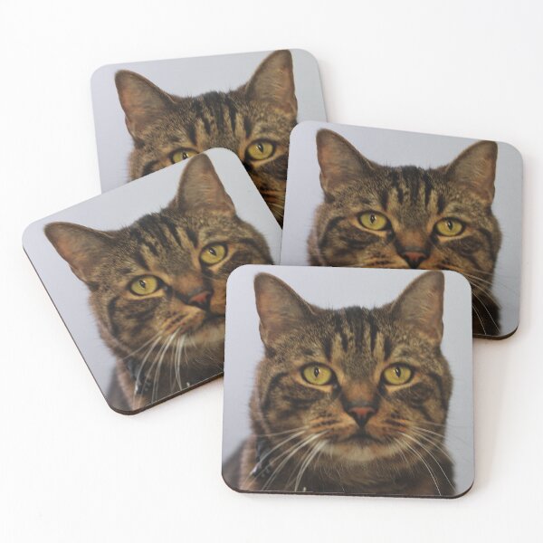 Item preview, Cat in a Bowtie designed and sold by Melissablackjpg.