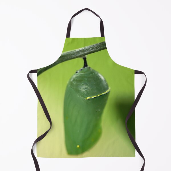 Item preview, Chrysalis designed and sold by StampCity.