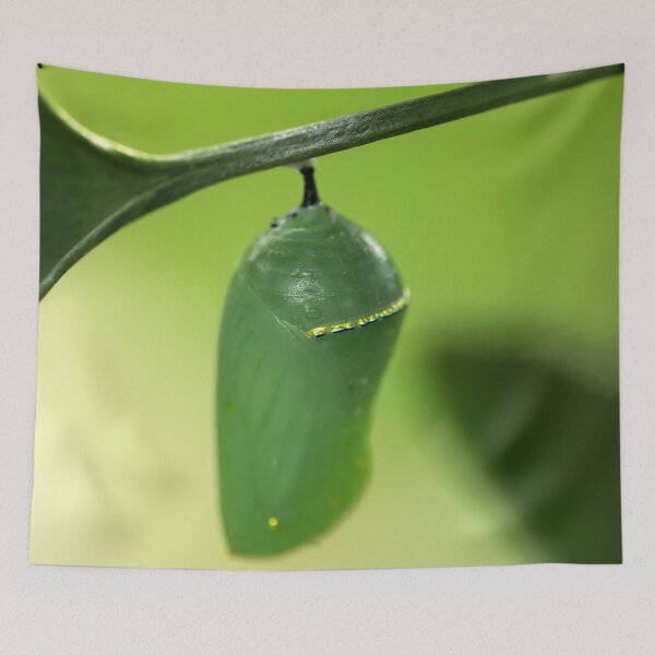 Item preview, Chrysalis designed and sold by StampCity.
