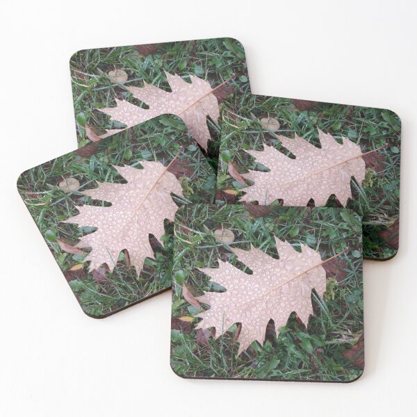 Item preview, Most of All I Love Fall, Fall on the Wall, Oak Leaves With Rain Drops on Them, Autumn Design designed and sold by Max-Wear.