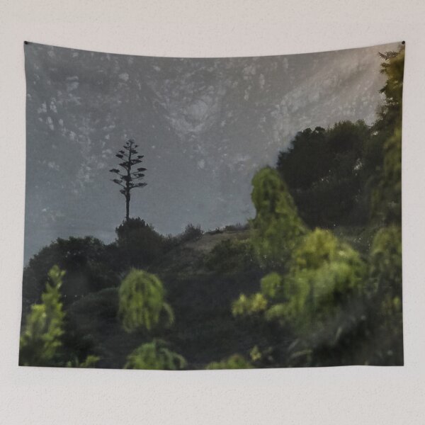 Item preview, Lone Tree Standing Tall  designed and sold by heatherfriedman.