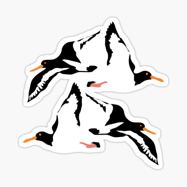 Item preview, Oyster Catcher Pattern designed and sold by louweasely.