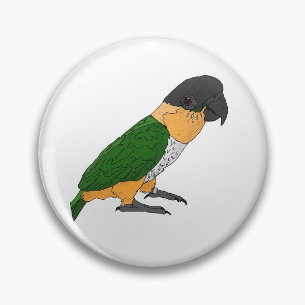Item preview, Caique  designed and sold by Lina4969.
