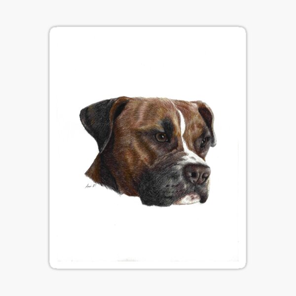 Chester Sticker