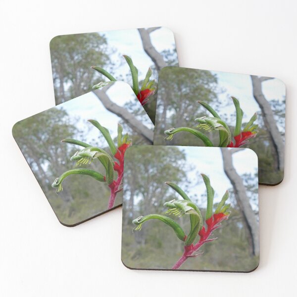 Item preview, Kangaroo Paw designed and sold by Caroline Scott.