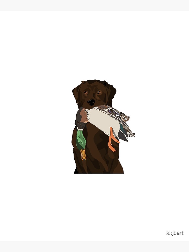 Chocolate Lab Bird Dog by kigbert